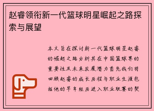 赵睿领衔新一代篮球明星崛起之路探索与展望