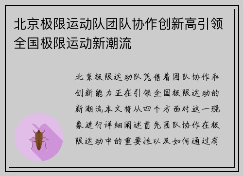 北京极限运动队团队协作创新高引领全国极限运动新潮流