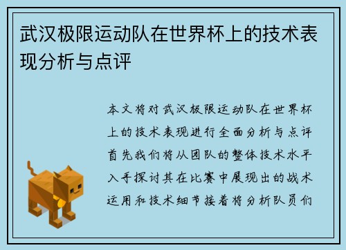 武汉极限运动队在世界杯上的技术表现分析与点评