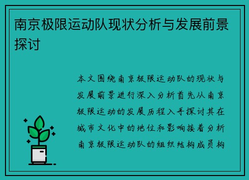 南京极限运动队现状分析与发展前景探讨